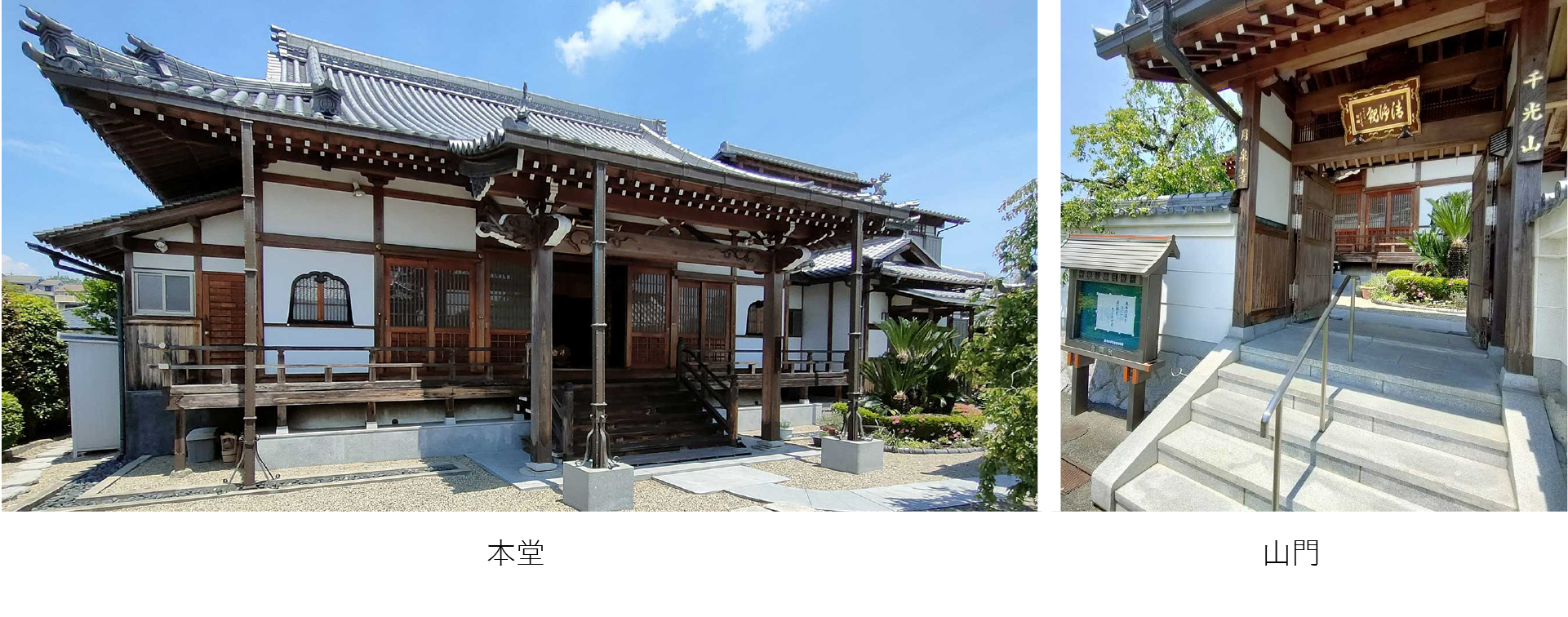 本堂 山門